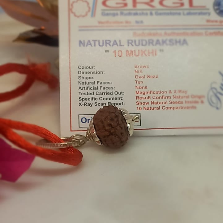Ten Mukhi Rudraksha Pendant