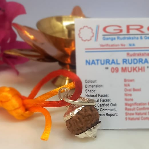 Nine Mukhi Rudraksha Pendant