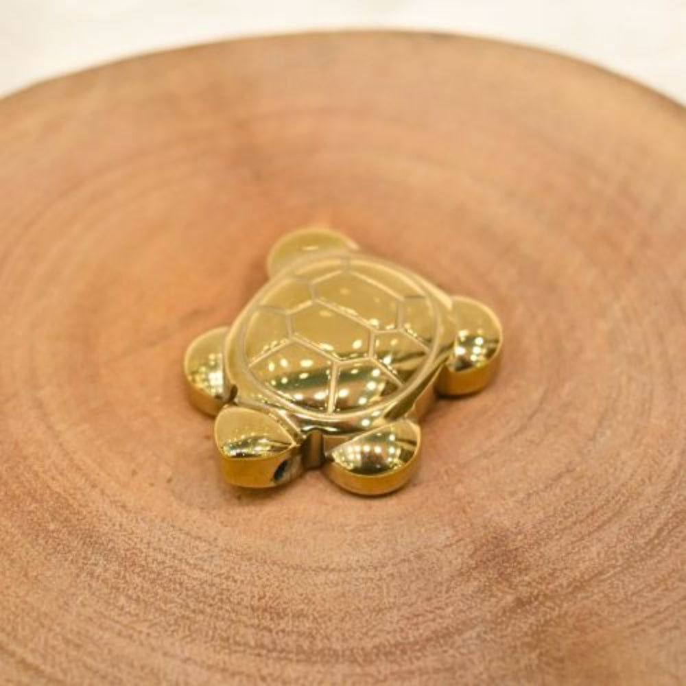 Tortoise in Pyrite